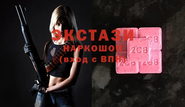 гидра Кодинск