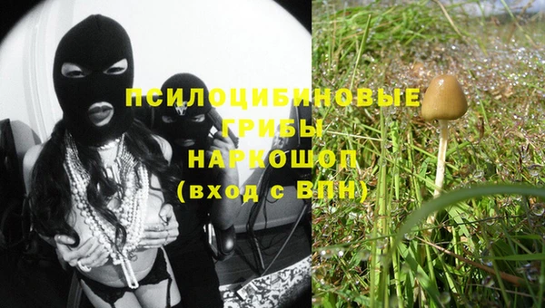 крисы Балабаново