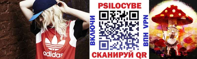 Псилоцибиновые грибы GOLDEN TEACHER  Болгар 