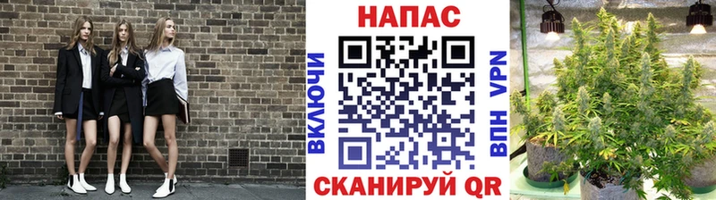 Марихуана сатива магазин продажи Болгар